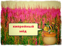 КИПРЕЙНЫЙ (Иван-Чай), мед пчелиный натуральный, 200 гр